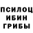 Псилоцибиновые грибы MAGIC MUSHROOMS Pacolikespie1967