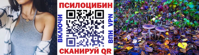 Псилоцибиновые грибы мицелий  купить  сайты  Сорочинск 