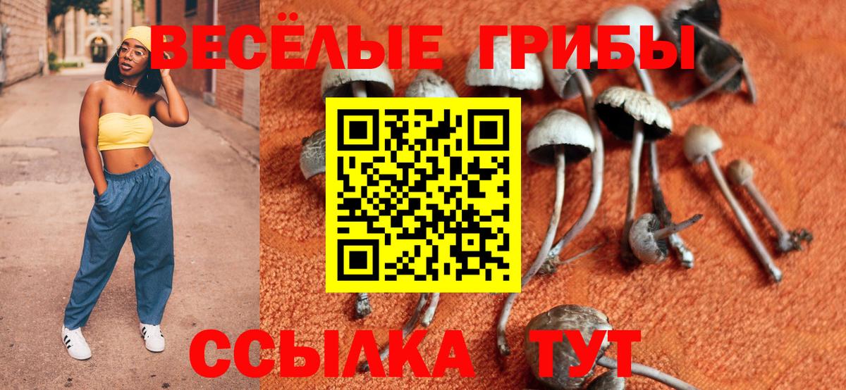 Галлюциногенные грибы Psilocybine cubensis  Псилоцибиновые грибы мухоморы  Сорочинск  Вход с VPN 